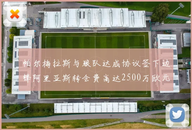 帕尔梅拉斯与狼队达成协议签下边锋阿里亚斯转会费高达2500万欧元